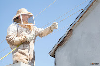 Rhino Pest Control Inc. - Photo 8 - Car repair in Los Angeles, CA, Los Angeles