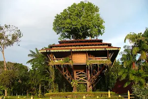 Samaúma Park Hotel image