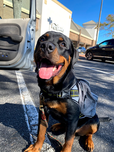 Pet Supply Store «PetSmart», reviews and photos, 6251 N Davis Hwy, Pensacola, FL 32504, USA