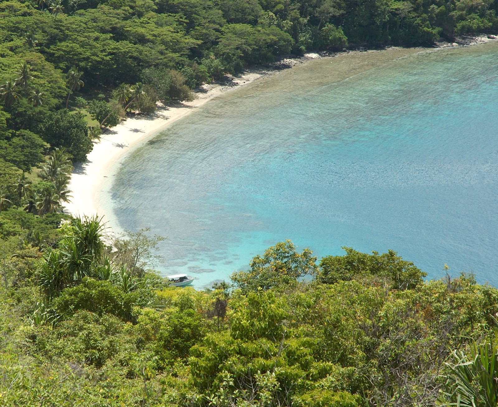 Foto van Waitatavi Bay Beach met turquoise puur water oppervlakte