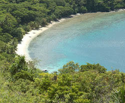 Foto von Waitatavi Bay Beach mit kleine bucht