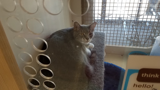 Pet Supply Store «Petco Animal Supplies», reviews and photos, 1400f 75th St, Downers Grove, IL 60516, USA