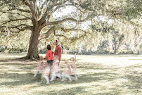 Marchione Photography + Design - Photo 2 - Car repair in , North Charleston