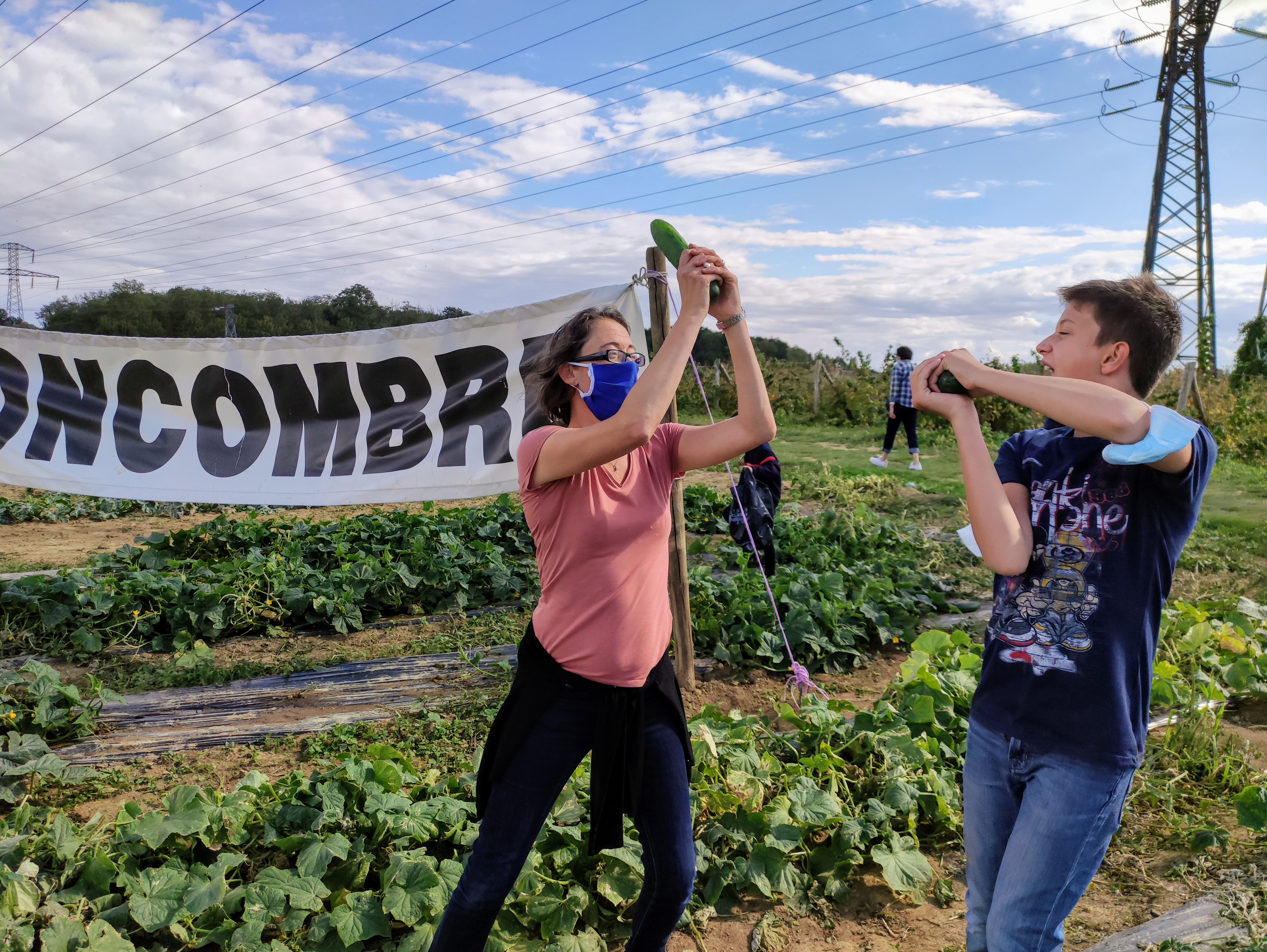 Photo n° 1 de l'avis de Nicolas.U fait le 08/09/2020 à 10:57