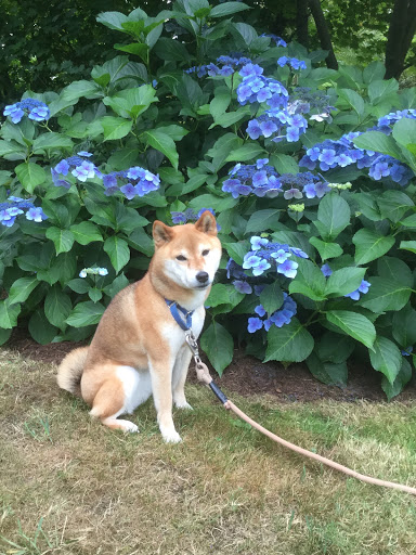 14124 Main St NE A, Duvall, WA 98019, USA