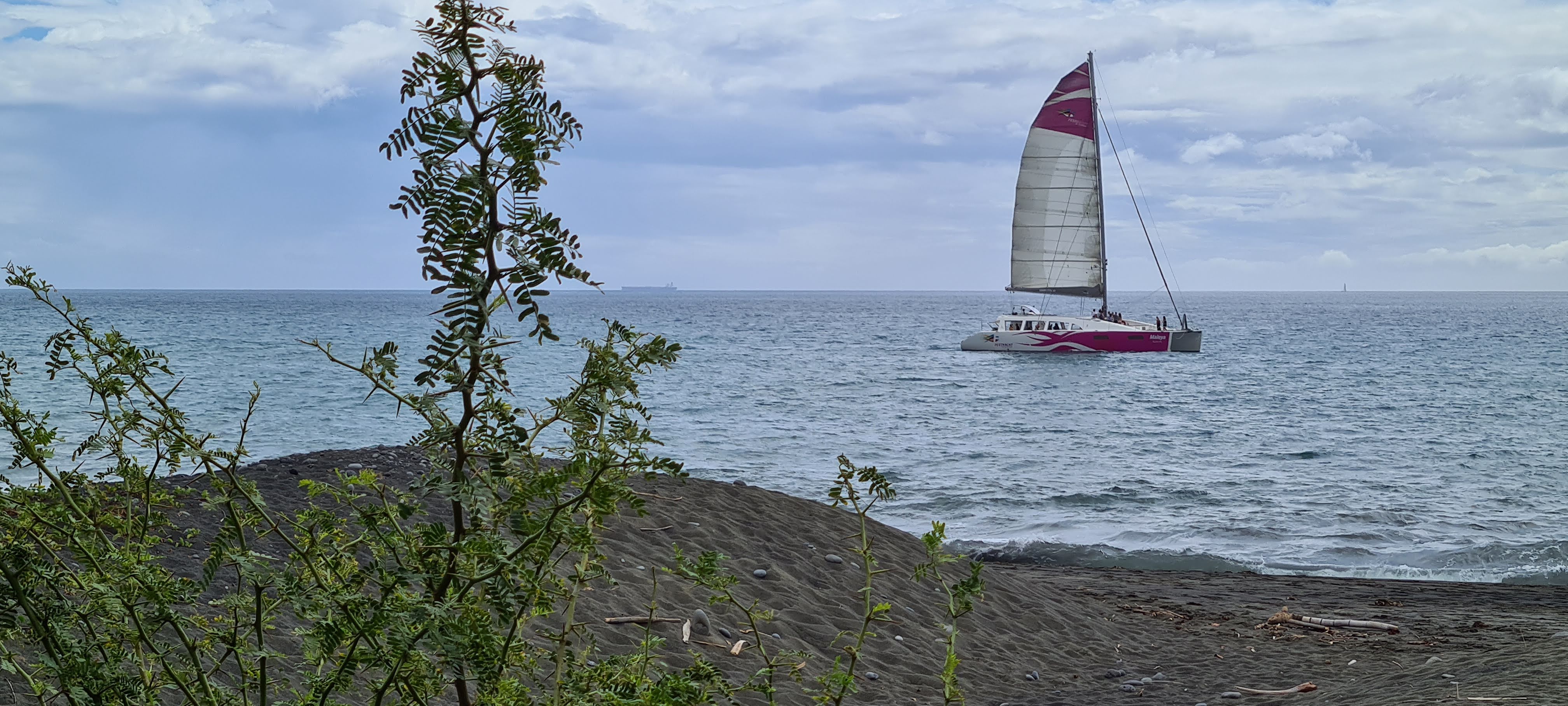 Photo n° 5 de l'avis de VALETTE.a fait le 28/08/2021 à 15:37