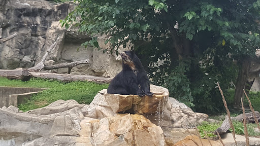 Thrift Store «Goodwill Retail Store & Donation Center», reviews and photos, 2936 Annandale Rd, Falls Church, VA 22042, USA