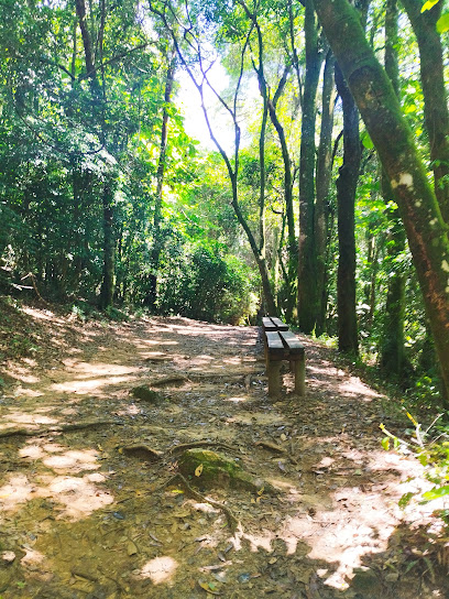 Trilha do Pai Zé Vila Jaraguá São Paulo