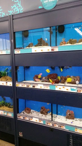 Pet Supply Store «Petco Animal Supplies», reviews and photos, 450 Hackensack Ave, Hackensack, NJ 07601, USA