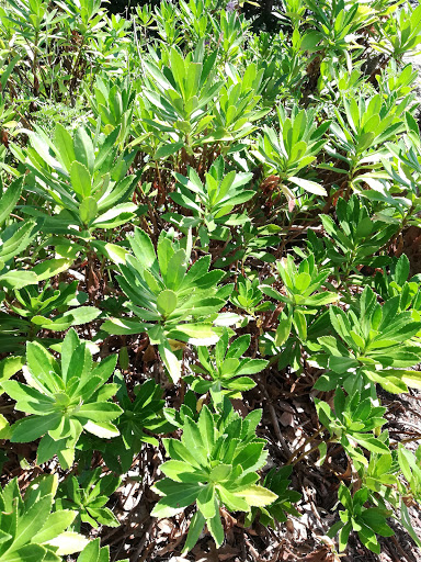 State Park «Abigail Adams State Park», reviews and photos, 770 Bridge St, Weymouth, MA 02188, USA