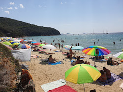 Photo de Cala Violina Scarlino et ses beaux paysages