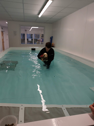 K9 Splash Hydrotherapy