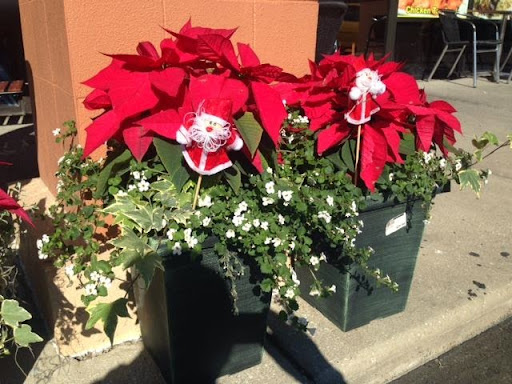 Hardware Store «USA Hardware», reviews and photos, 5481 W Irlo Bronson Memorial Hwy, Kissimmee, FL 34746, USA