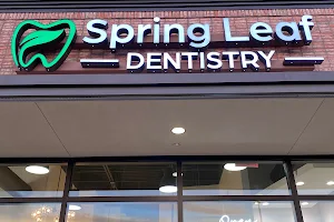 Spring Leaf Dentistry image