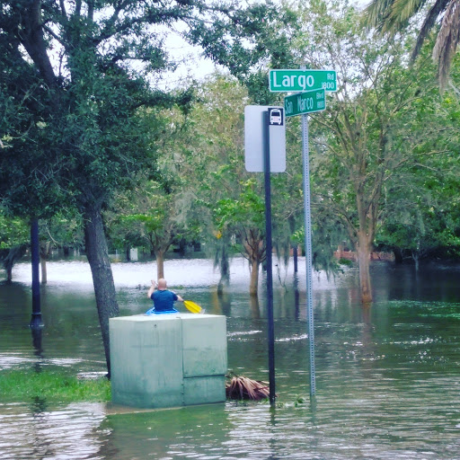 Park «Balis Park», reviews and photos, 1999 San Marco Blvd, Jacksonville, FL 32207, USA