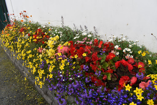Ballaghderg Garden Centre