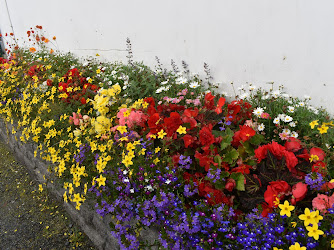 Ballaghderg Garden Centre