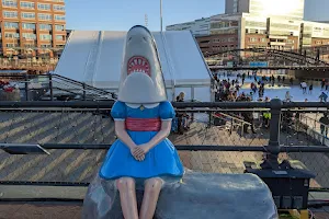 Shark Girl image
