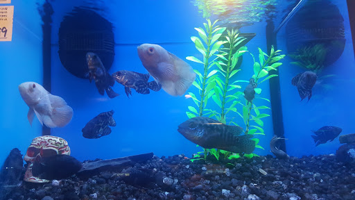 Pet Store «Pets Plus Inc», reviews and photos, 2610 Jefferson Davis Hwy, Stafford, VA 22554, USA