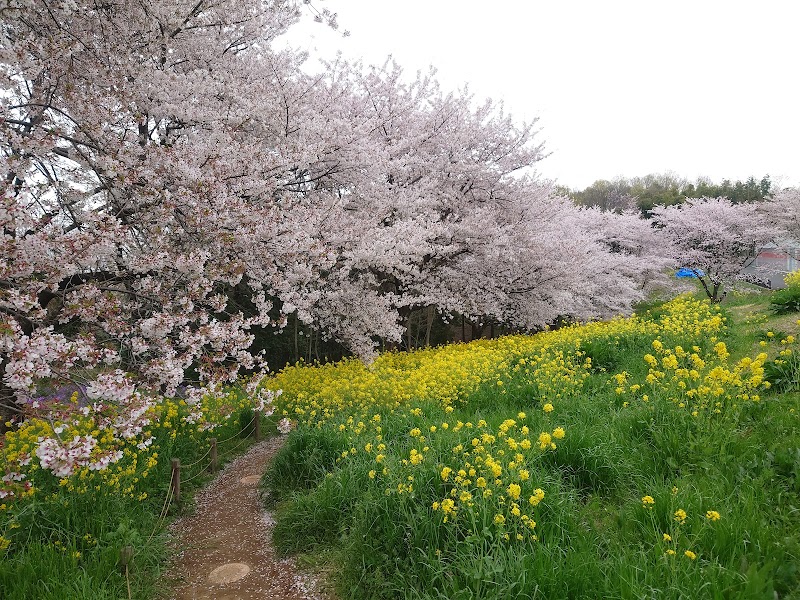 東松山市農林公園