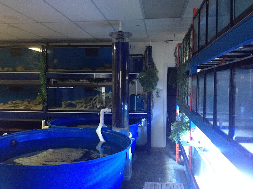 Aquarium Service Toronto
