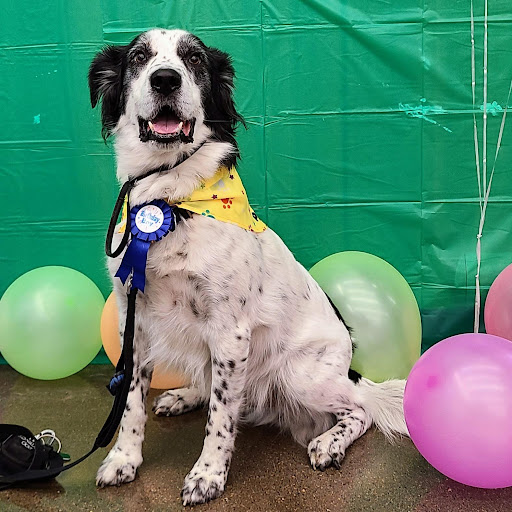 Pet Supply Store «Pet Supplies Plus», reviews and photos, 713 Brandilynn Blvd, Cedar Falls, IA 50613, USA