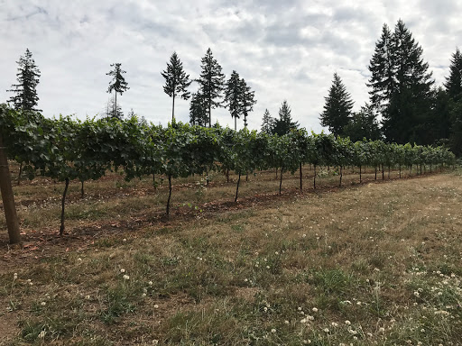 Winery «Noble Estate Vineyard and Winery», reviews and photos, 29210 Gimpl Hill Rd, Eugene, OR 97402, USA