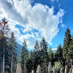 Photo n°1 de l'avis de Siham.a fait le 31/07/2022 à 20:19 sur le  Ristorante Speck Stube Alimonta à Sant'Antonio di Mavignola