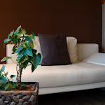 Photo n°1 de l'avis de Karsten.� fait le 31/03/2023 à 16:15 sur le  Hotel Schwedenstein à Steina