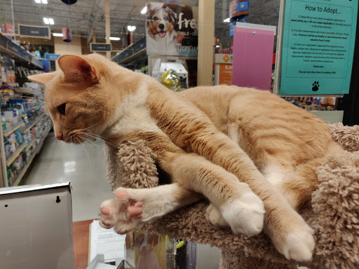 Pet Supply Store «PetSmart», reviews and photos, 1705 Mall of Georgia Blvd, Buford, GA 30519, USA