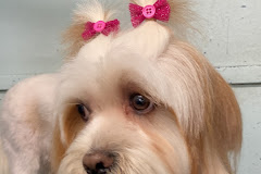 Puppy Love Pet Grooming LLC