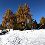 Photo n°11 de l'avis de Roberto.i fait le 10/11/2019 à 12:18 sur le  Gasthaus Tomanegger à Jenesien