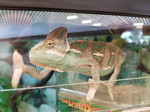 Pet Supply Store «Petco Animal Supplies», reviews and photos, 30 Veterans Memorial Hwy, Commack, NY 11725, USA