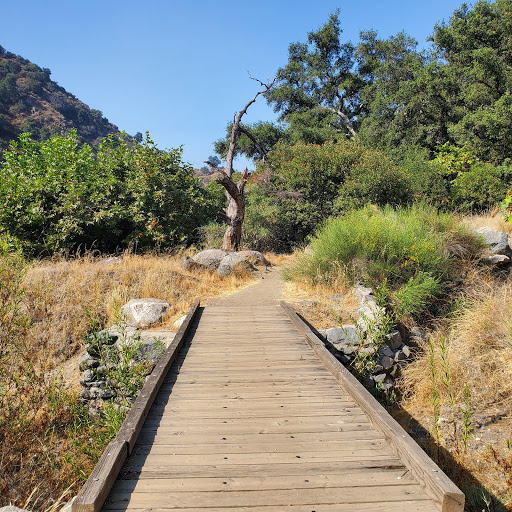 Big Dalton Canyon Trail