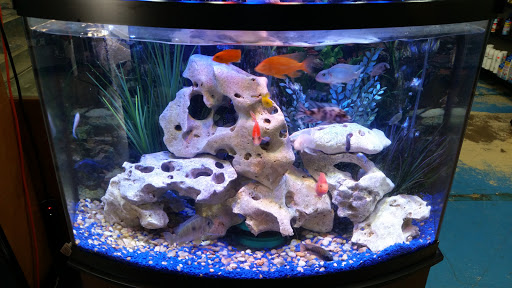 Pet Store «Alamo Aquatic Pets», reviews and photos, 6504 Bandera Rd, San Antonio, TX 78238, USA