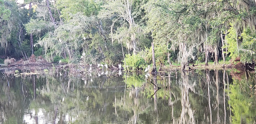 Golf Club «Sea Palms Golf Club», reviews and photos, 5445 Frederica Rd, Saint Simons Island, GA 31522, USA