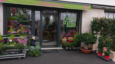 Aux Fleurs D'Ela | Fleuriste à Commercy à Commercy