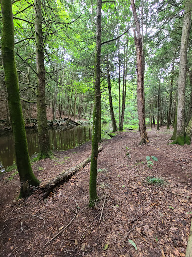 Nature Preserve «Mianus River Gorge Preserve», reviews and photos, 167 Mianus River Rd, Bedford, NY 10506, USA