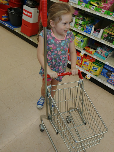 Grocery Store «Winn-Dixie», reviews and photos, 750 W Dr Martin Luther King Jr Blvd, Seffner, FL 33584, USA