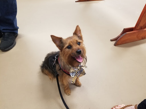 Pet Store «Paws Natural Pet Emporium», reviews and photos, 8551 W Gage Blvd, Kennewick, WA 99336, USA