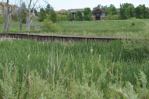 Park «Red-tailed Hawk Park», reviews and photos, 23701 E Hinsdale Way, Aurora, CO 80016, USA