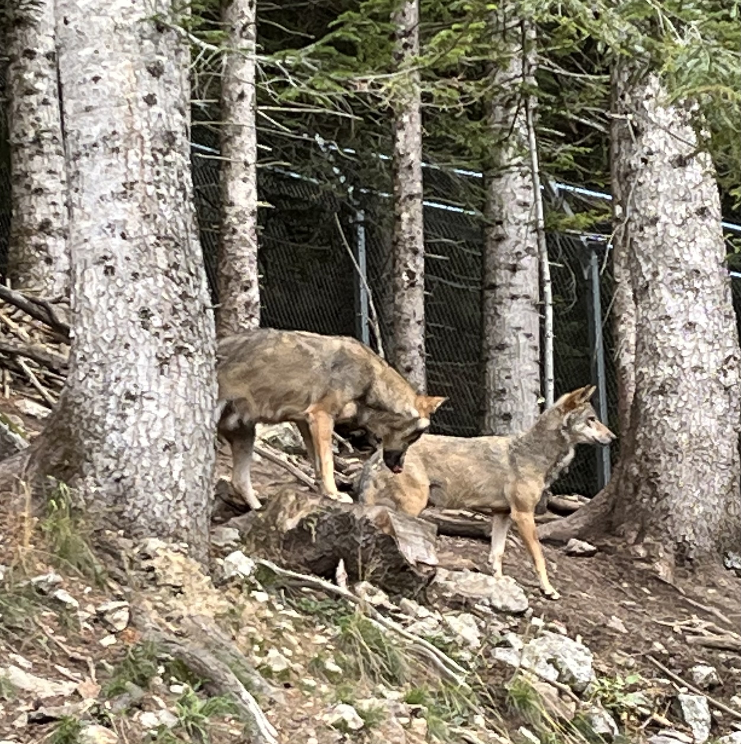 Photo n° 4 de l'avis de Jean.a fait le 28/08/2022 à 08:00