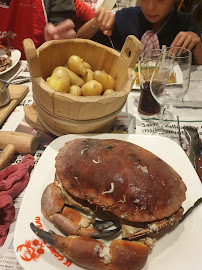 Metacarcinus magister du Restaurant de crabe Le Crabe Marteau à Brest - n°6