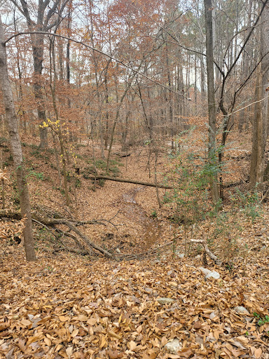 Nature Preserve «Melvin L. Newman Wetlands Center», reviews and photos, 2755 Freeman Rd, Hampton, GA 30228, USA