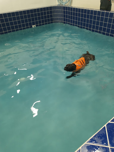 Pet Supply Store «Pet Depot Inc», reviews and photos, 2151 Greenspring Dr, Lutherville-Timonium, MD 21093, USA