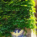 Photo n°1 de l'avis de Detlef.o fait le 30/06/2022 à 15:43 sur le  Schnitzelhaus by Hopfen & Salz à Hagen