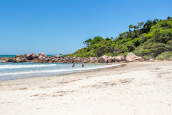 Photo de Plage des Ilheus situé dans une zone naturelle