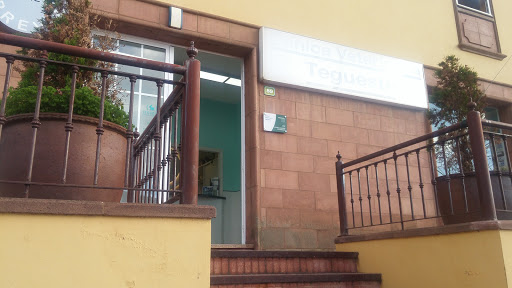 Clínica Veterinaria Tegueste en Tegueste