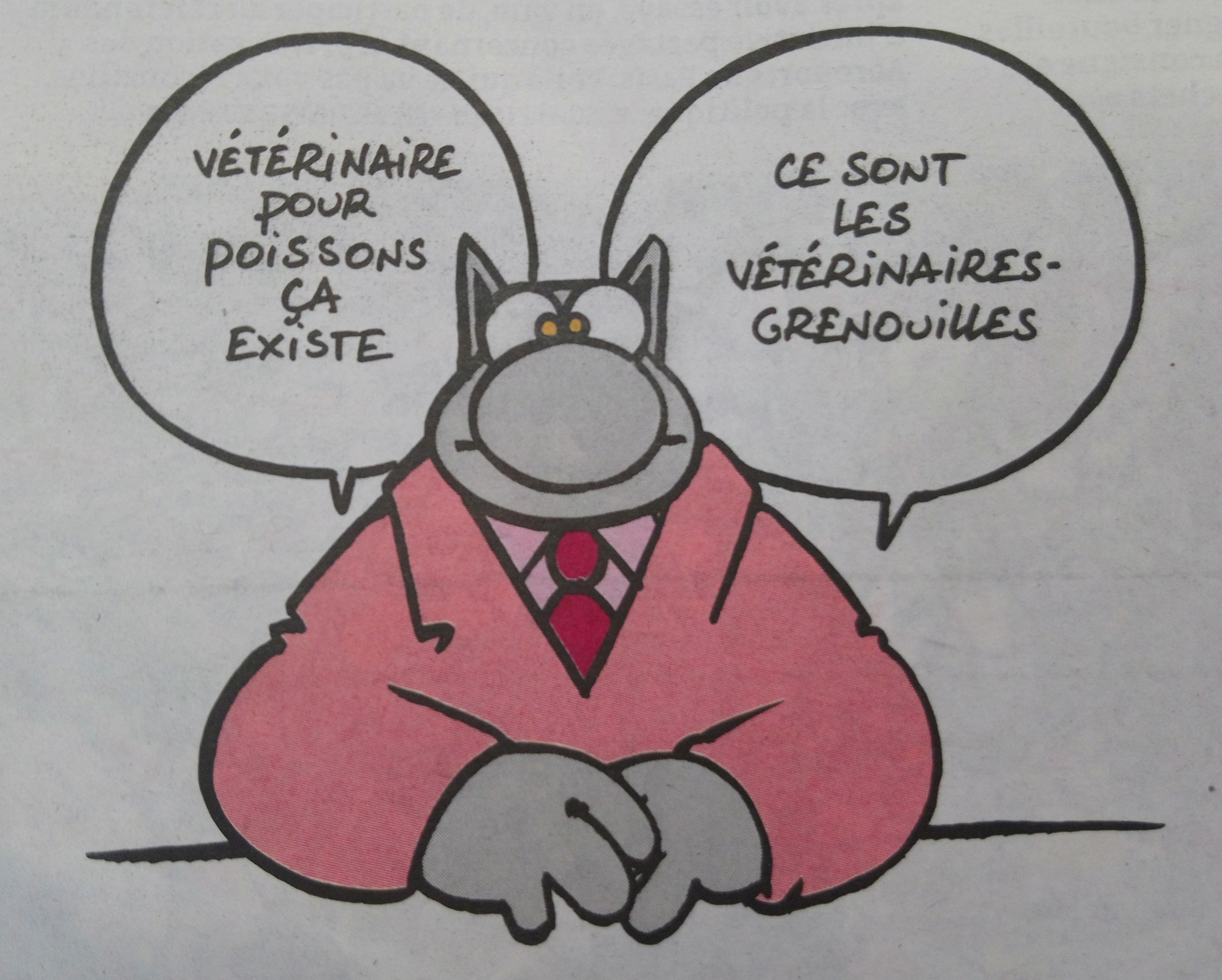 Photo n° 1 de l'avis de René.O fait le 20/06/2019 à 20:39