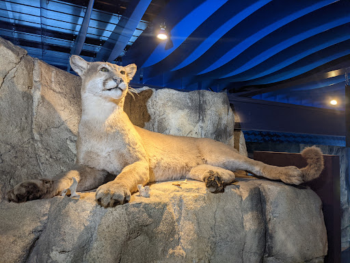 Museum of Natural History image